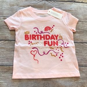 🎈Gymboree Girls 12-18m Birthday T-shirt